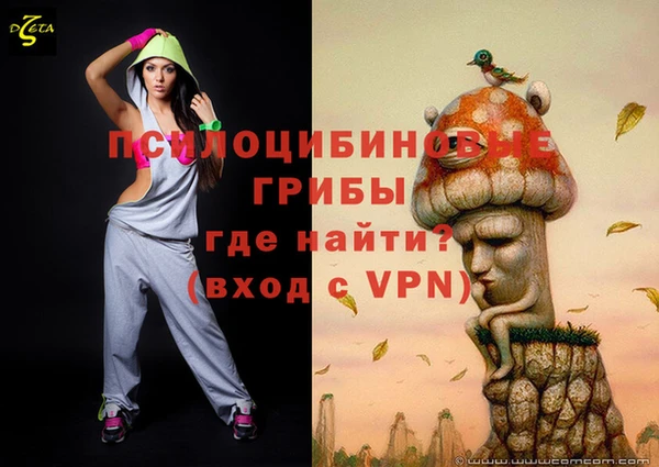 стафф Нефтегорск
