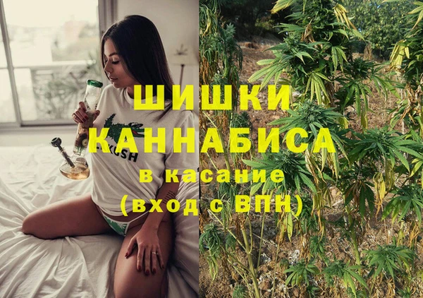 винт Армянск